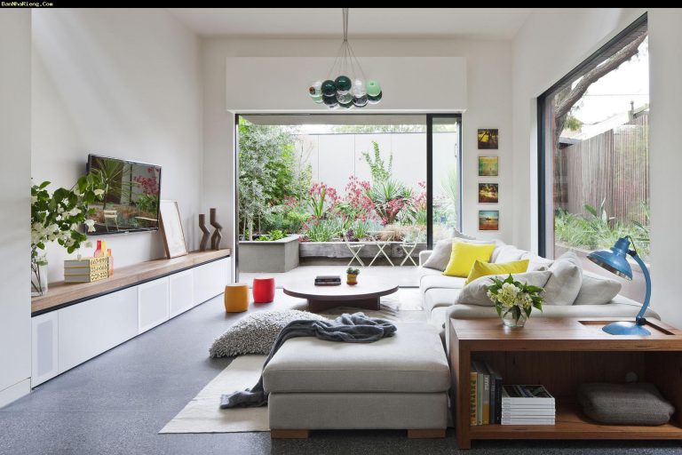 Lịch sử phát triển