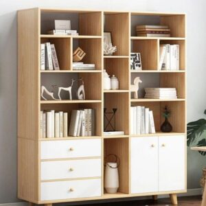Tủ sách hiện đại TS-01