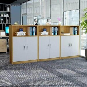 Tủ sách văn phòng hiện đại TS-05