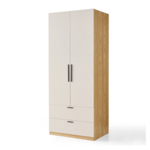 Tủ áo trẻ em hiện đại TAE-11