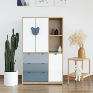 Tủ áo trẻ em hiện đại TAE-12